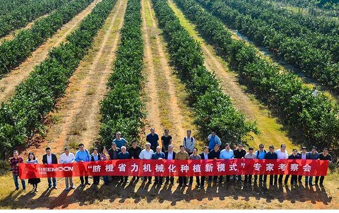 綠萌水果分選設(shè)備可進(jìn)行重量大小分級、顏色、瑕疵外觀視覺分選，無損檢測糖度，甜度，酸度、空心、浮皮、褐變、果肉損傷等內(nèi)部指標(biāo)檢測，提供智能全自動臍橙分選機(jī),臍橙分選設(shè)備,臍橙選果機(jī),臍橙選果設(shè)備,臍橙分級機(jī),臍橙稱重分揀機(jī),臍橙大小直徑選果，臍橙采后分選方案和價格