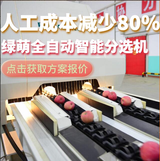 綠萌是水果智能分選設(shè)備國(guó)家高新技術(shù)企業(yè),對(duì)水果采后處理提供全套解決方案。綠萌水果分選機(jī)可進(jìn)行大小重量分級(jí)、外觀顏色分選、內(nèi)部品質(zhì)糖度檢測(cè)。提供全自動(dòng)水果分選設(shè)備,水果選果機(jī),智能水果分選機(jī),全自動(dòng)水果分選機(jī),水果分級(jí)機(jī),小型水果分選機(jī)，水果分級(jí)機(jī),水果稱重分選機(jī),水果重量分選機(jī),水果大小分選機(jī),水果顏色分選機(jī),水果糖度分選機(jī),配套水果清洗機(jī)、水果洗果保鮮機(jī)、水果包裝機(jī)、水果消毒滅菌殺菌機(jī),水果打蠟機(jī)。更多水果分選方案報(bào)價(jià),小型水果選果設(shè)備價(jià)格、水果分級(jí)機(jī)怎么樣、口碑好質(zhì)量好的水果選果機(jī)、了解高性能水果分選機(jī)多少錢,咨詢客服免費(fèi)獲取