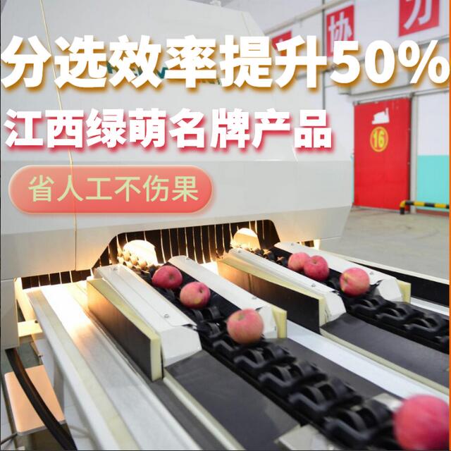 綠萌是水果智能分選設(shè)備國(guó)家高新技術(shù)企業(yè),對(duì)水果采后處理提供全套解決方案。綠萌水果分選機(jī)可進(jìn)行大小重量分級(jí)、外觀顏色分選、內(nèi)部品質(zhì)糖度檢測(cè)。提供全自動(dòng)水果分選設(shè)備,水果選果機(jī),智能水果分選機(jī),全自動(dòng)水果分選機(jī),水果分級(jí)機(jī),小型水果分選機(jī)，水果分級(jí)機(jī),水果稱重分選機(jī),水果重量分選機(jī),水果大小分選機(jī),水果顏色分選機(jī),水果糖度分選機(jī),配套水果清洗機(jī)、水果洗果保鮮機(jī)、水果包裝機(jī)、水果消毒滅菌殺菌機(jī),水果打蠟機(jī)。更多水果分選方案報(bào)價(jià),小型水果選果設(shè)備價(jià)格、水果分級(jí)機(jī)怎么樣、口碑好質(zhì)量好的水果選果機(jī)、了解高性能水果分選機(jī)多少錢,咨詢客服免費(fèi)獲取