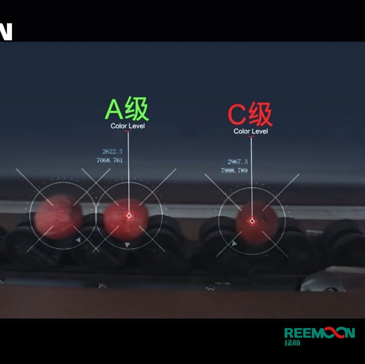 綠萌水果分選機(jī)多少錢？江西綠萌科技控股有限公司廠家直銷報(bào)價(jià)