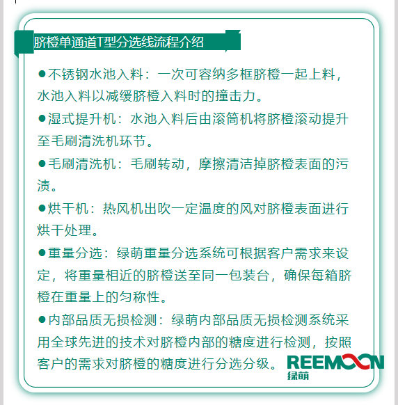 今年綠萌推出T型系列設(shè)備，專為中國果農(nóng)研制的高性價(jià)比的設(shè)備，具有功能齊全、小型輕便可移動(dòng)、操作簡單、易維護(hù)的優(yōu)點(diǎn)。臍橙單通道分選線確保每箱分選過的臍橙個(gè)頭勻稱、糖酸度相近，有著穩(wěn)定的品質(zhì)，讓非標(biāo)準(zhǔn)的農(nóng)產(chǎn)品標(biāo)準(zhǔn)化。該分選線專門為中國小戶果農(nóng)定制，為客戶實(shí)地考察，根據(jù)客戶需求全流程設(shè)計(jì)，