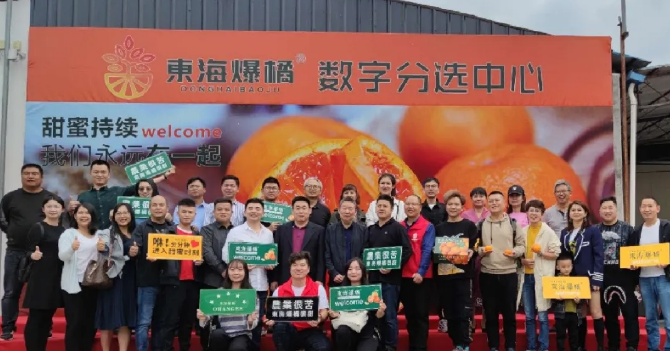 東海爆橘建立綠萌數字分選中心一陣果汁，細膩無渣，這橘子臉皮很薄，脾氣“爆”！每年秋冬季節(jié)，市場上各種各樣的橘子層出不窮，有些是黃澄澄的，有些是紅色的，讓人一看就喜歡，每年都買回來。貪心的時候找到一個，手里冰涼。我迫不及待地把它剝下來，迅速放進嘴里。那一刻橙汁從我的喉嚨滑落，整個秋冬的干燥被