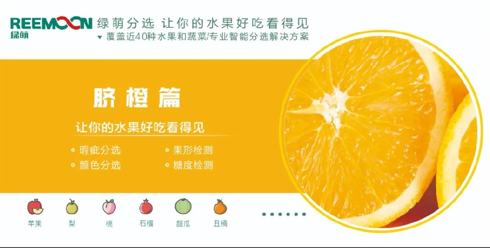 糖度可視化 好吃看得見(jiàn)【臍橙篇】來(lái)源：客家新聞網(wǎng)訊 記者何亮報(bào)道據(jù)悉，2019年，贛州市臍橙種植面積達(dá)到162萬(wàn)畝、產(chǎn)量122萬(wàn)噸，產(chǎn)值129億元。?20多年前，一批和新奇士品質(zhì)相近的贛南臍橙，用低于新奇士一半的價(jià)格出售，銷量卻并不見(jiàn)得比新奇士好。如今，贛南臍橙產(chǎn)值129億元，是什么讓贛南臍橙聲名鵲起？綠萌臍橙果表瑕疵