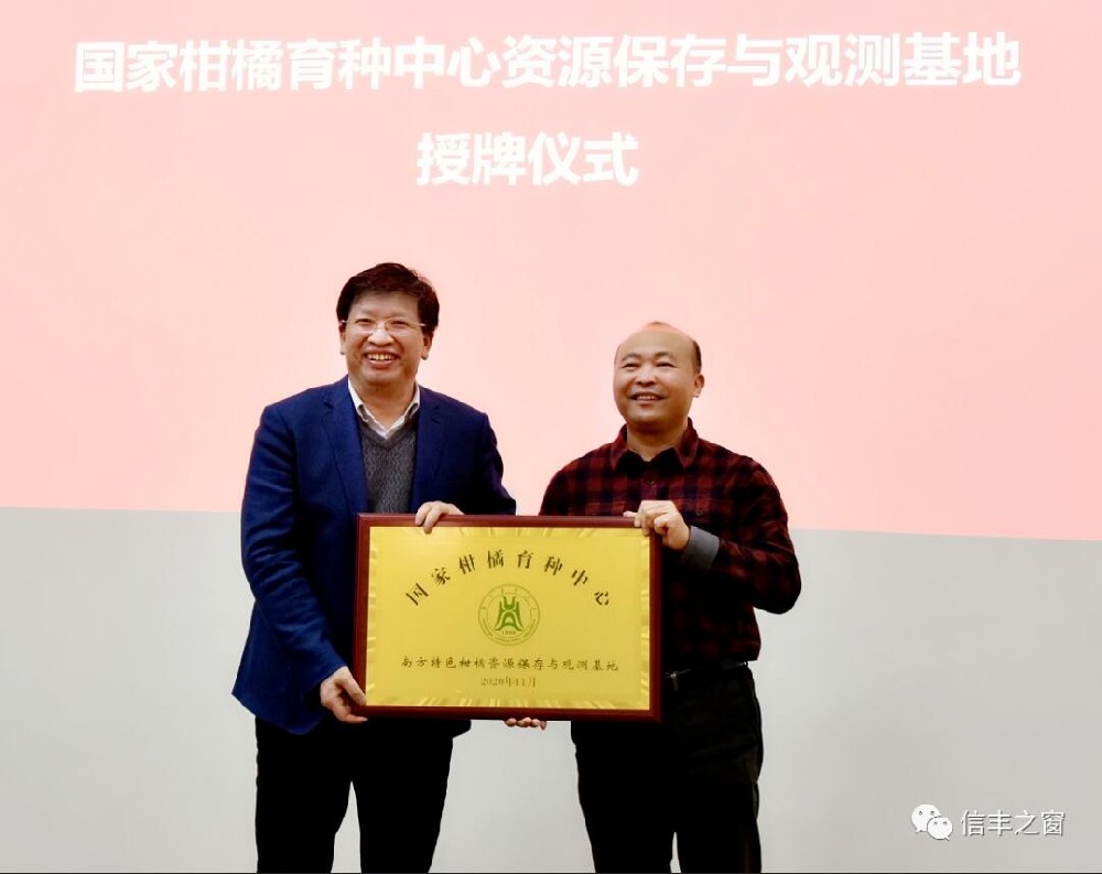 兩塊牌匾！我縣臍橙產(chǎn)業(yè)高質(zhì)量發(fā)展又上新臺(tái)階 11月30日，中國(guó)工程院副院長(zhǎng)、民盟中央副主席、中國(guó)科學(xué)技術(shù)協(xié)會(huì)副主席、國(guó)家現(xiàn)代農(nóng)業(yè)柑橘產(chǎn)業(yè)技術(shù)體系首席科學(xué)家鄧秀新帶領(lǐng)調(diào)研組來(lái)到我縣調(diào)研，并出席華中農(nóng)業(yè)大學(xué)與江西綠萌科技控股有限公司簽約儀式、“綠萌果蔬生產(chǎn)智慧裝備研究院”和“國(guó)家柑橘育種中心南方特色柑橘資源保