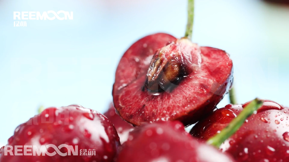 據(jù)新華社智利圣地亞哥3月24日電，智利水果生產(chǎn)商協(xié)會(huì)24日發(fā)布數(shù)據(jù)顯示，在剛剛結(jié)束的2020年至2021年櫻桃出口季中，智利櫻桃出口超過(guò)35萬(wàn)噸，同比增長(zhǎng)54.4%，其中對(duì)華出口超過(guò)32萬(wàn)噸，同比增長(zhǎng)55%。 在智利水果生產(chǎn)商協(xié)會(huì)24日舉行的櫻桃出口情況在線分析會(huì)上，鮮果出口行業(yè)分析師貢薩洛·薩利納斯表示，由于種植面積連年增加