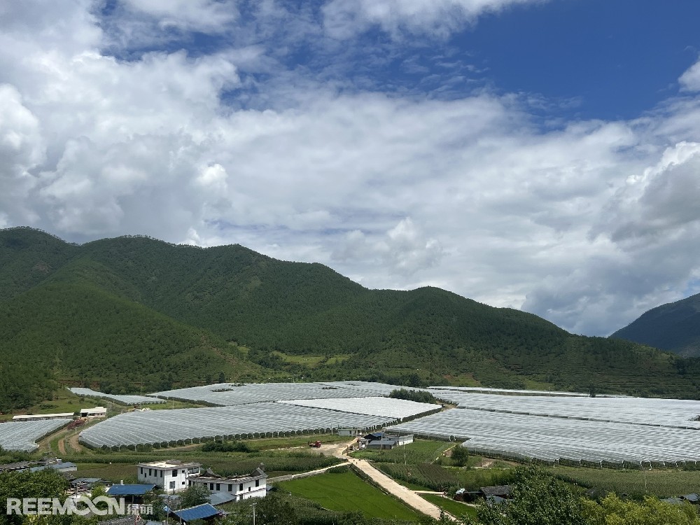 麗江市蘋果種植主產(chǎn)區(qū)海拔2400-2700米，良好的立體環(huán)境條件造就了麗江蘋果糖度高、果肉緊密、硬度高、無污染的品質(zhì)特點。2019年，在全國種植產(chǎn)區(qū)的甄選中，鑫榮懋選定了云南省麗江市蘋果優(yōu)勢產(chǎn)區(qū)作為未來蘋果種植項目的實施地，目前已種植新西蘭引進(jìn)的優(yōu)良蘋果品種。鑫榮懋以新品種、新技術(shù)及高品質(zhì)為發(fā)展蘋果種植的新契機，