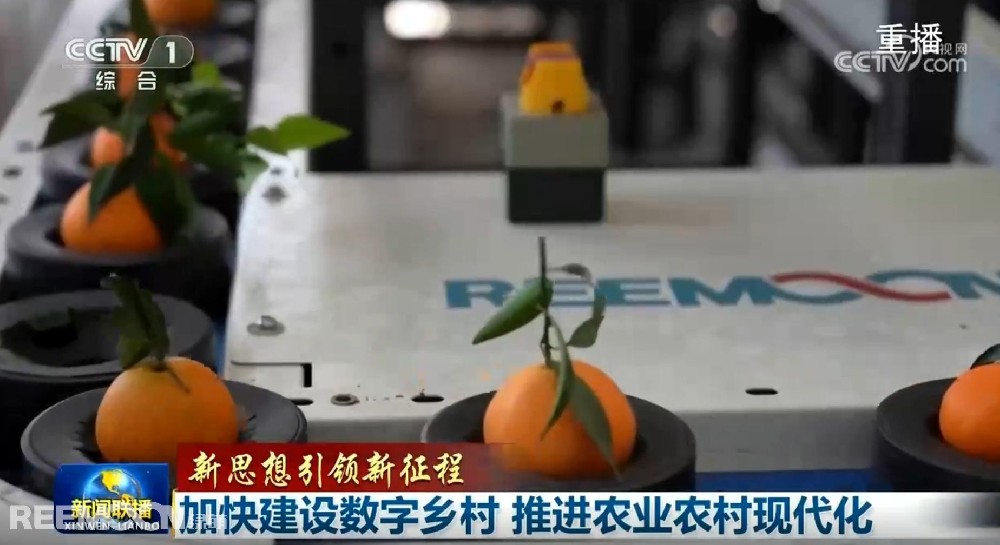 又又又上央視了2025開年見喜綠萌在半月之內(nèi)兩次登上《新聞聯(lián)播》2025年1月1日央視《新聞聯(lián)播》聚焦《甘肅省天水市麥積區(qū)南山花牛蘋果》其中一組畫面中綠萌蘋果雙通道分選線上鏡這條分揀線對蘋果的大小、色澤、瑕疵、糖度、霉心等指標(biāo)進(jìn)行精準(zhǔn)檢測分級助推花牛蘋果做大做強(qiáng)助力果農(nóng)增收致富10