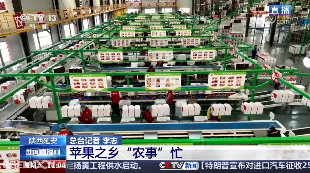 春天是希望的季節(jié)陜西延安是我國蘋果的優(yōu)生區(qū)和主產(chǎn)區(qū)蘋果之鄉(xiāng)正呈現(xiàn)出一片繁忙的景象3月28日，CCTV13新聞頻道聚焦陜西延安蘋果產(chǎn)業(yè)發(fā)展展現(xiàn)中國農(nóng)業(yè)現(xiàn)代化與鄉(xiāng)村振興的生動實踐PART.01智能分選線：給蘋果做“體檢”，助力果農(nóng)增收致富延安甘泉縣分揀車間內(nèi)綠萌智能分選設(shè)備高效運轉(zhuǎn)通過人工智能和圖像處理技術(shù)對傳送帶上的