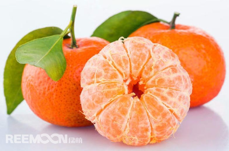 近幾年，砂糖橘逐漸跌落“神壇”，價(jià)格急速下滑。產(chǎn)能過剩、集中上市、競爭增大......不少問題圍繞著砂糖橘產(chǎn)業(yè)的發(fā)展。難道真的就要走向末路了嗎？砂糖橘口感清甜似砂糖，入口即化，富含維生素、葡萄糖、胡蘿卜素等多種營養(yǎng)元素，且市場歡迎度高、老少皆宜，擁有廣闊的市場空間。近年來砂糖橘價(jià)格一路低走，產(chǎn)業(yè)模式的問題